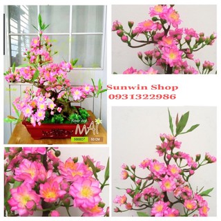 Chậu hoa đào giả cao 50cm-cây đào mini để bàn