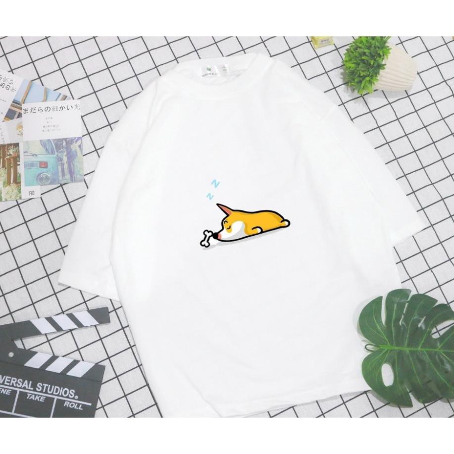 Áo Thun Nam Nữ Tay Lỡ Unisex Phông Trơn Oversize Form Rộng Basic Tee Hình corgi ngủ mơ thấy cục xương 💕