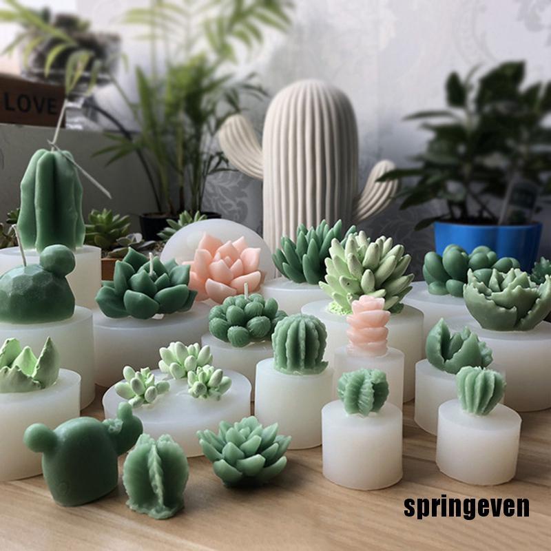 Khuôn Silicone Làm Nến Xà Phòng Hình Cây Mọng Nước 3D DIY