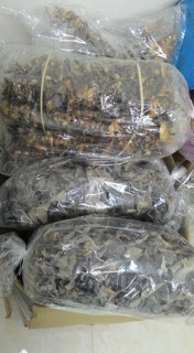Mộc nhĩ 