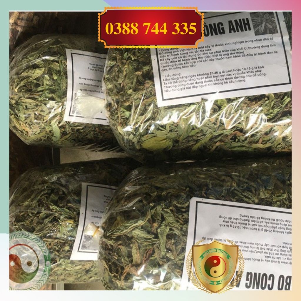 1kg Lá Cây Bồ Công Anh Sấy Khô Mát Gan, Giải Độc, Ngừa Ung Thư