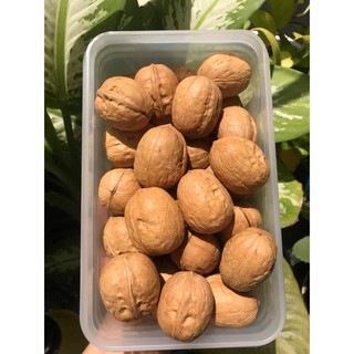 Quả Óc Chó Chính Hãng Mỹ - Tốt Sức Khỏe 100G / 250G / 500G