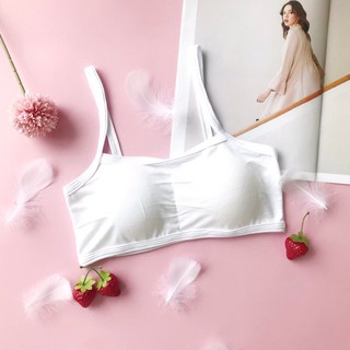 Áo lót học sinh chất cotton