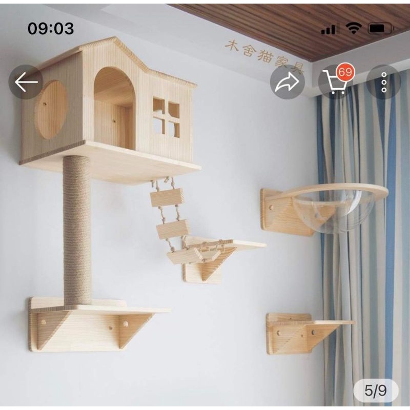 Cattre treo tường cho mèo mẫu mới xinh