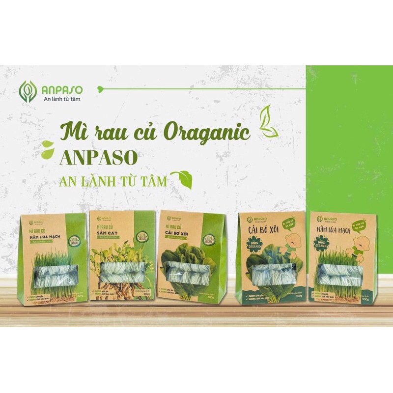 Mì rau củ hữu cơ Anpaso 300gr, mỳ rau organic giảm cân bổ sung rau vitamin và chất xơ