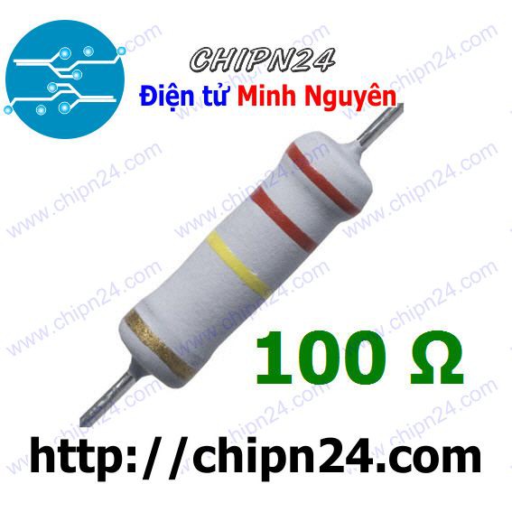 [5 CON] Điện Trở 100R 2W