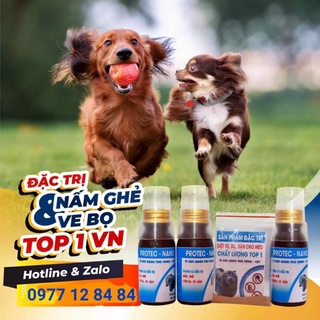 Ve rận bọ nhảy, bọ chét dành cho cún cưng