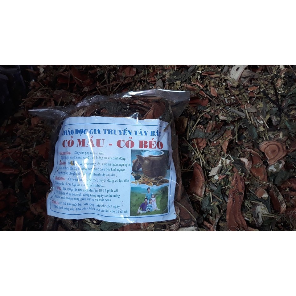 Cỏ máu tăng cân , cây cỏ máu, cỏ béo giúp tăng cân, đẹp da, giành cho người gầy, khó tăng cân