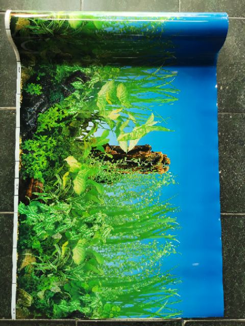 Tranh dán hồ cá cao 60cm
