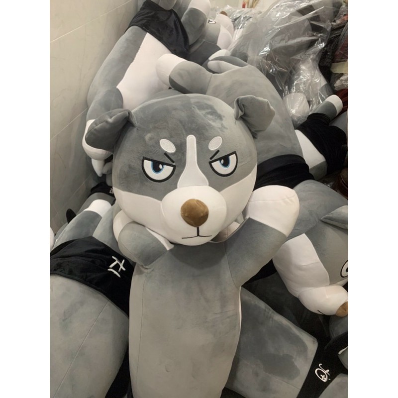 Gấu bông Chó bông Husky mặt ngáo - Thú nhồi bông  SiêuThị.vn