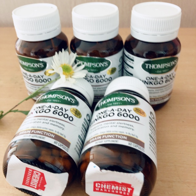 Bổ não ginko thompsons