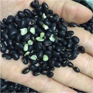 Đậu đen xanh lòng vườn 1kg