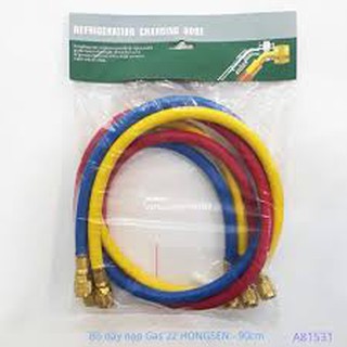 Bộ dây nạp gas 22 hongsen model ct-336 ryb
