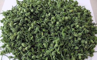 500GAM Nụ tam thất