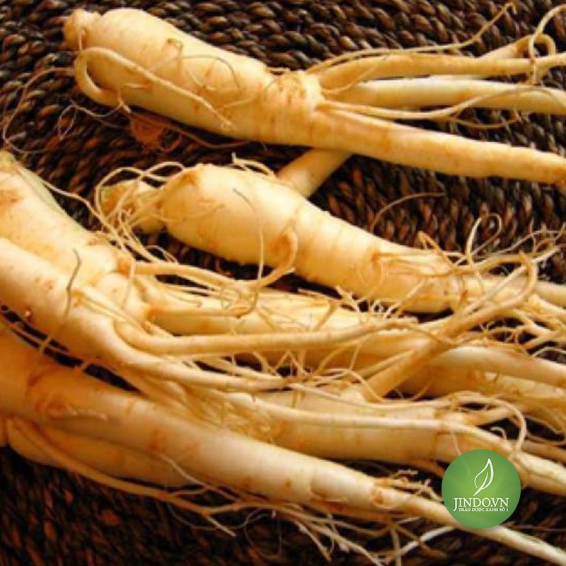 500gr Đẳng Sâm vị thuốc quý trị suy thận JD082