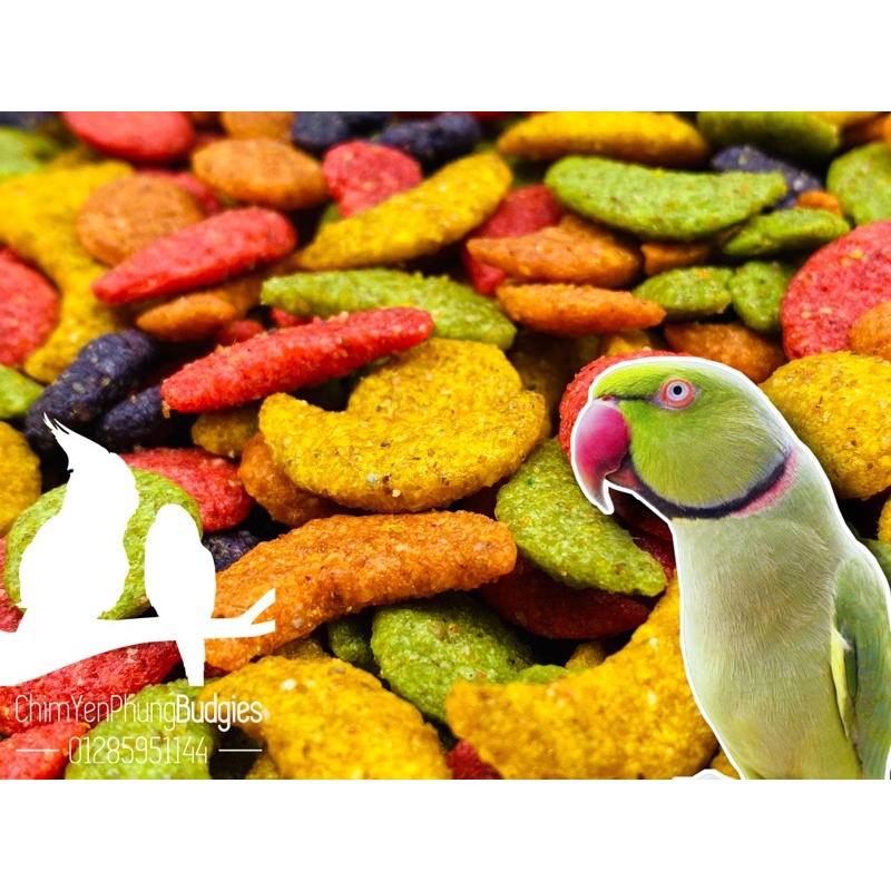 1kg Zupreem hạt lớn cho Vẹt Xích • Xám • SunConure.