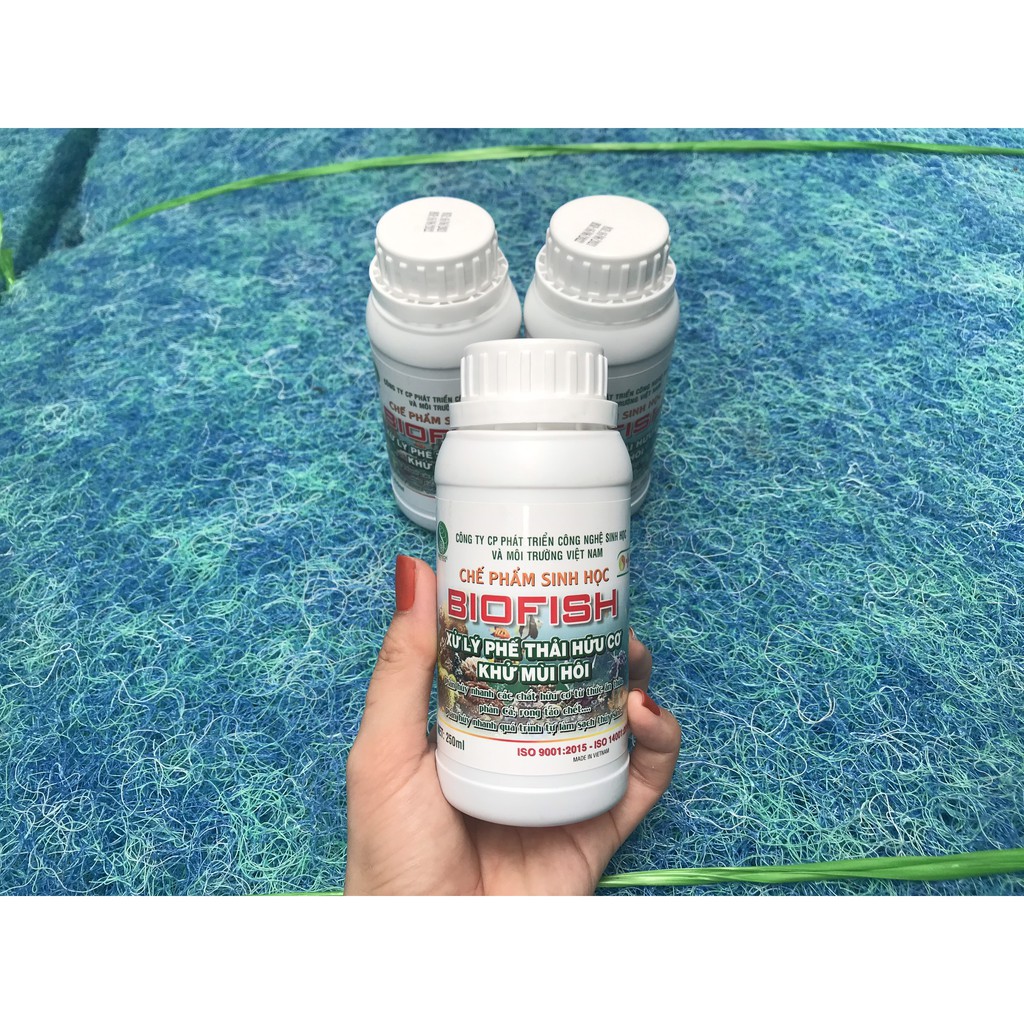 Vi Sinh Thảo Dược Hồ Cá Koi Bio Fish Koi 1000ml. Vi Sinh Phân Hủy Chất Thải, Khử Mùi Tanh, Làm Trong Nước
