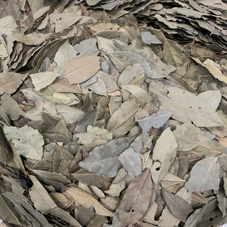 Lá Nguyệt Quế (Bay Leaf)