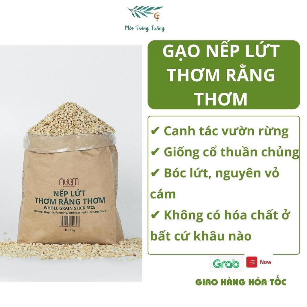 Gạo nếp lứt Thơm Rằng Thơm Noom trồng theo phương pháp vườn rừng, xát dối giữ nguyên dưỡng chất