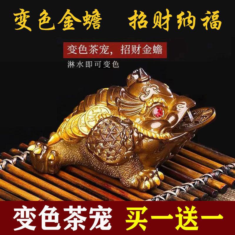 Đồ Trang Trí Cho Thú Cưng Uống Trà Thay Đổi Màu Sắc Có Thể Mang Lại May Mắn Và Thay Đổi Màu Sắc