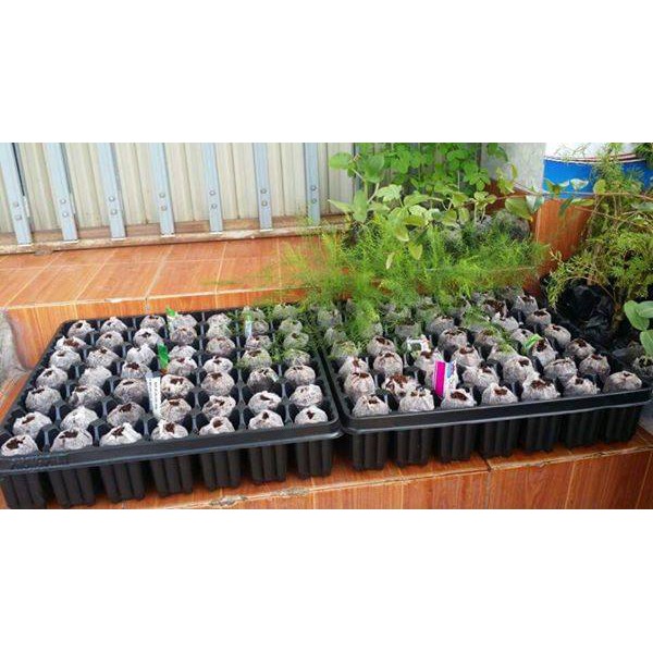 Khay ươm 49 lỗ chuyên dùng cho viên nén ươm hạt
