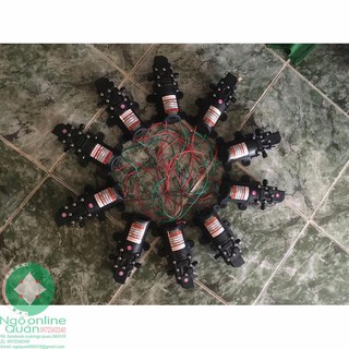 Máy Bơm Tăng Áp mini 12V