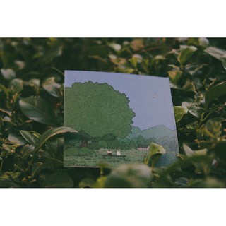 Set Postcard Mùa Thu Trang Trí Phòng