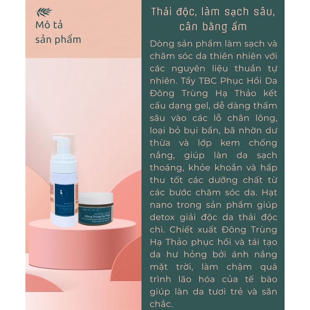 TẨY TẾ BÀO CHẾT ĐÔNG TRÙNG HẠ THẢO | BigBuy360 - bigbuy360.vn