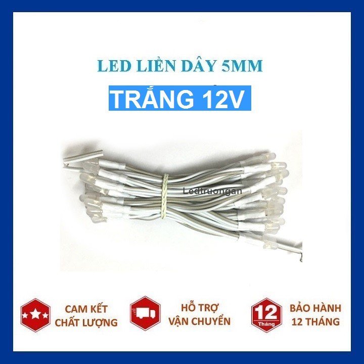 Led liền dây 5mm 12V - Led ruồi 5mm làm biển led vẫy - led cuộn 100 bóng - dùng nguồn 12v