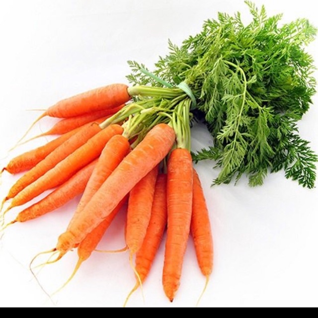 Hạt giống cà rốt KUDORA- gói 5Gr