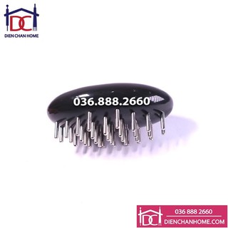 Con bọ Lồi Lớn Diện Chẩn