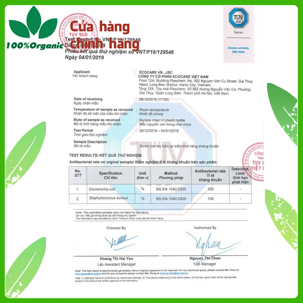 Nước rửa tay Ecocare bồ hòn hữu cơ dạng bọt cam, quế, nhài 250ml | WebRaoVat - webraovat.net.vn