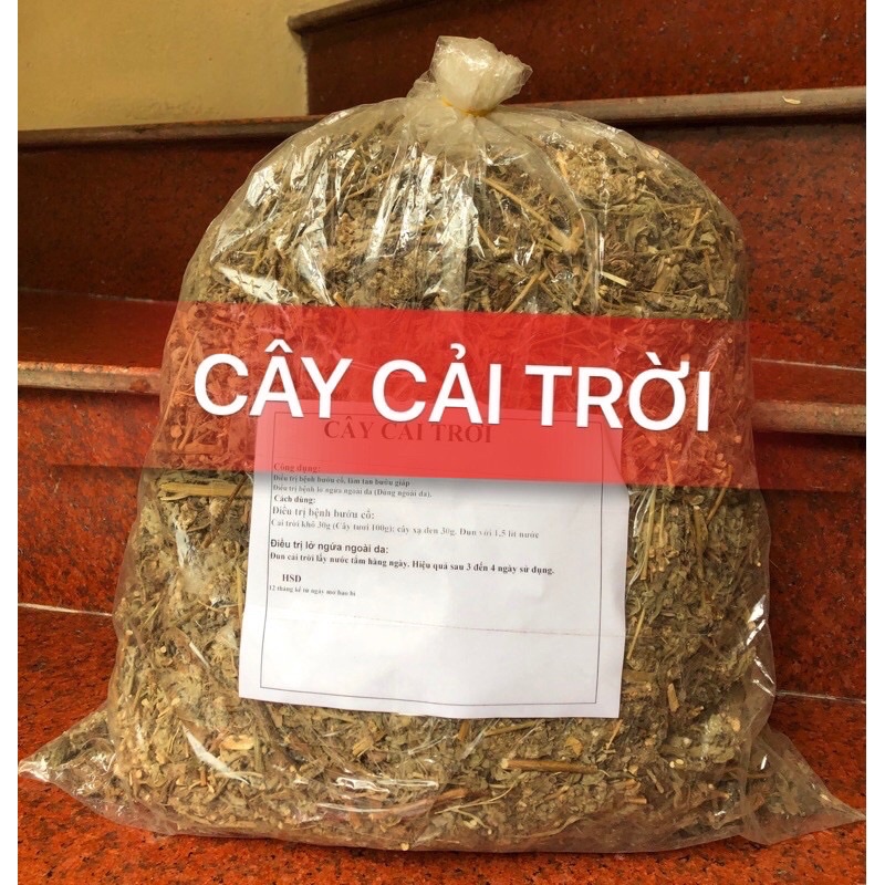 1Kg Cây Cải Trời khô hàng chuẩn xịn( sạch, đẹp) tốt cho người Bướu cổ, bướu giáp