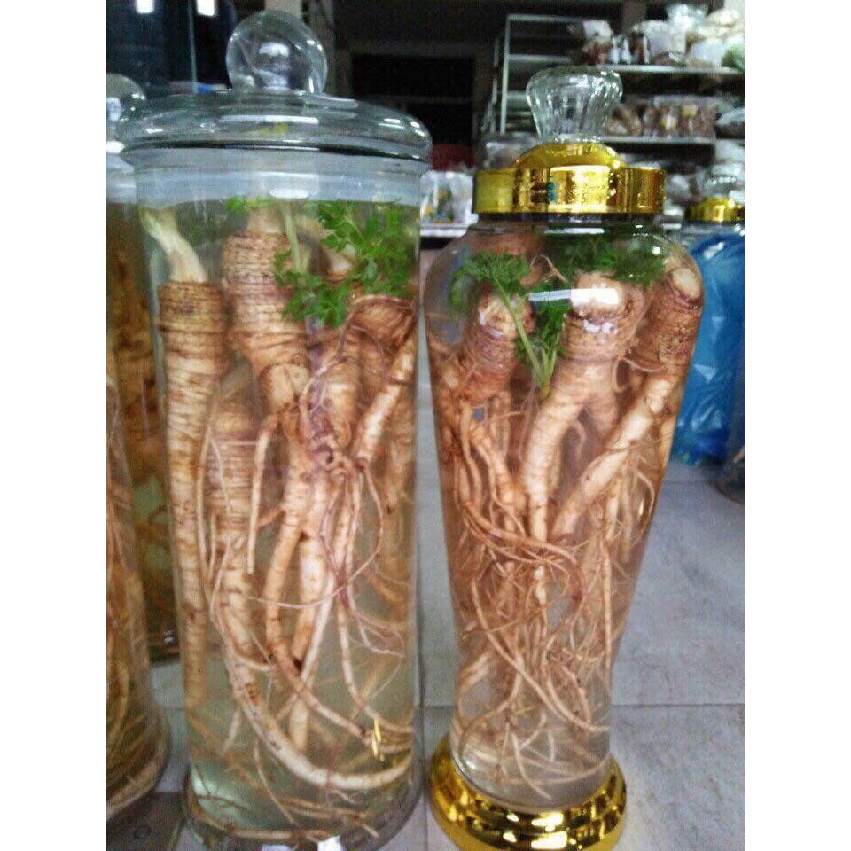 Sâm đá (Sâm quy đá)