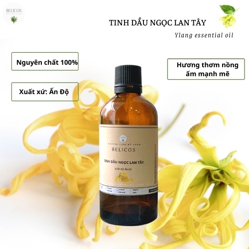 Tinh dầu Ngọc Lan Tây 50ml/100ml - tinh dầu thiên nhiên nguyên chất có kiểm định