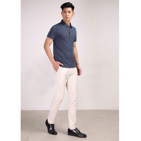 Áo polo nam áo thun nam cổ bẻ ARISTINO- slim - 3 màu APS057s8