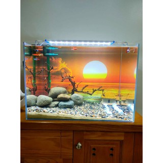 [Tặng Đồ Dán+Sticker] Tranh 3d dán bể cá trang trí bể cá nhiều kích thướt chọn lựa mã tranh 1272