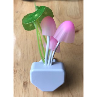Đèn Ngủ Hình Cây Nấm, Đèn Ngủ Led