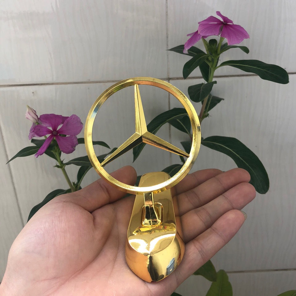 Đứng Phía Trước Đứng Đứng Đứng Logo Đứng Đứng Đứng Phía Trước Đứng Đứng Tiêu Chuẩn Đứng Phía Trước Đứng Đứng Đứng Đứng Đứng Phía Trước Xe Hơi