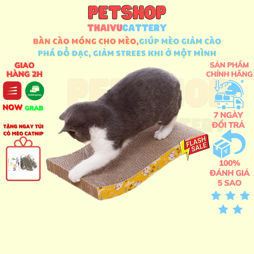 Bàn cào móng cho mèo size siêu to 43X21X4 cm lượn sóng cho mèo tặng túi bạc hà - Thaivucattery