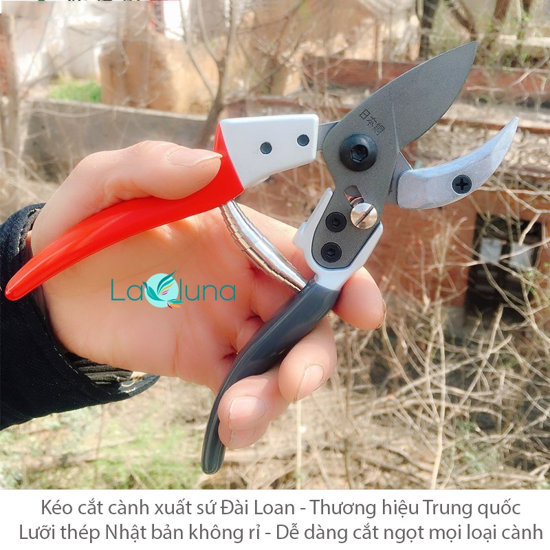 Kéo cắt tỉa cành Đài LOAN + lưỡi thép NHẬT ,cắt ngọt cành, cắt cây cảnh , hoa loại tốt bền bỉ và sắc lẹm - B31