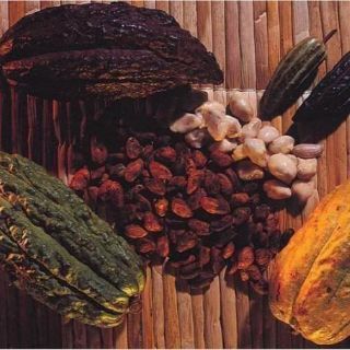 Bột ca cao nguyên chất