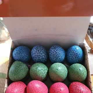 Bộ trứng khủng long 12 quả có cánh
