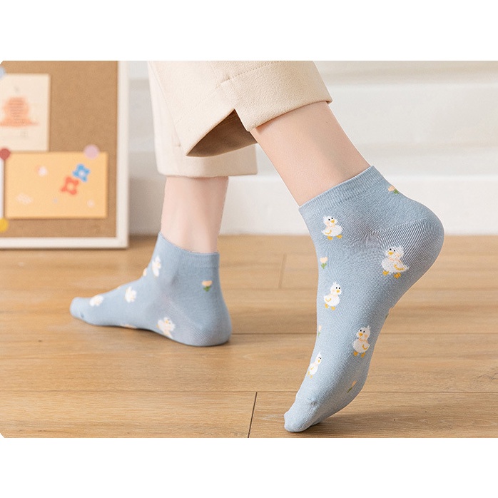 Vớ nữ cổ ngắn set 5 đôi phong cách hàn quốc chất cotton có túi zip covolacotat