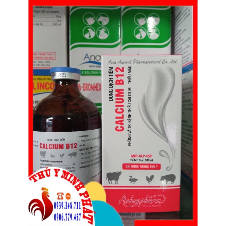 CALCIUM B12 ( caxi b12 ) thiếu canxi , b12 , thiếu máu, bại liệt trên gia súc gia cầm