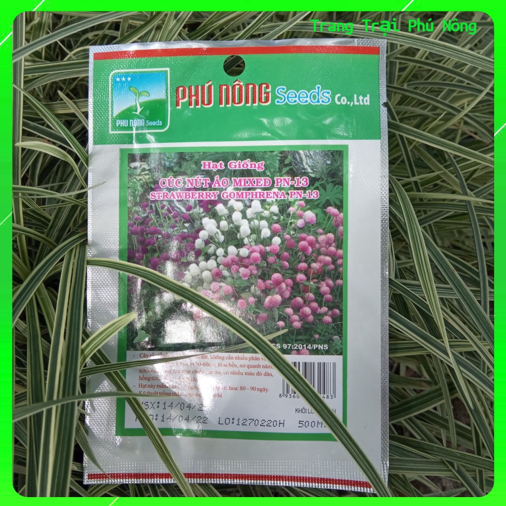 Hạt Giống Hoa Cúc Nút Áo Mix  PN-13 Phú Nông - Gói 0.5g - Strawberry Gomphrena