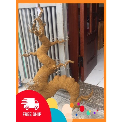 Thân cây bonsai ôm Tượng trang trí nhà cửa đón Tết