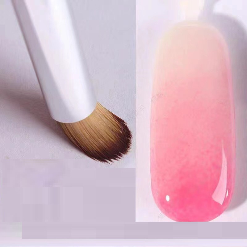 Cọ dậm ombre đầu tròn ( hàng chuẩn loại 1 bao sịn sò )