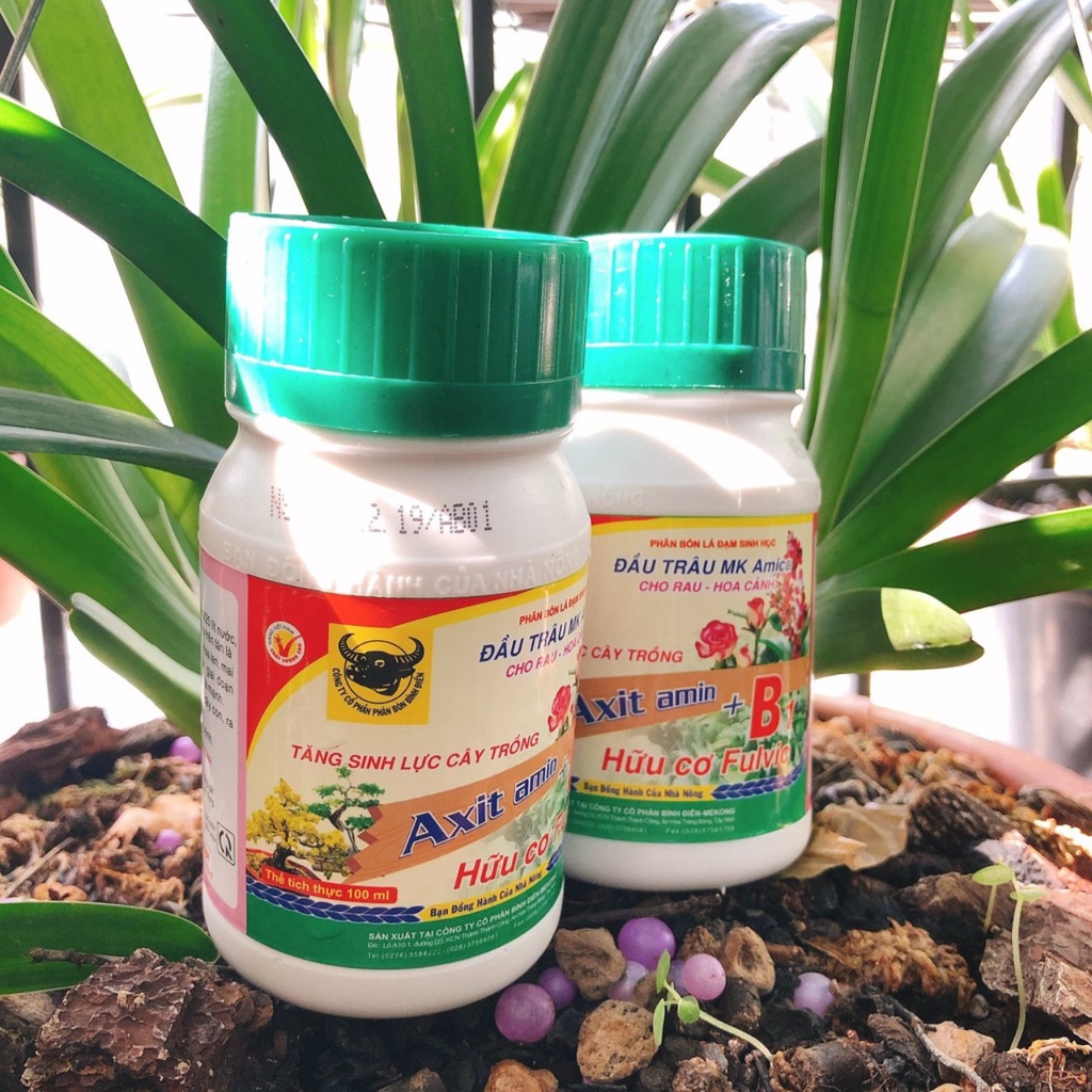 Phân bón hữu cơ Đầu Trâu MK AMICA bổ sung Đạm Amino, Vitamin B1 và Canxi cho cây trồng - Chai 100 ml