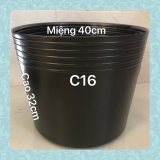 Chậu nhựa trồng cây 10 cái C16 đen dày dặn